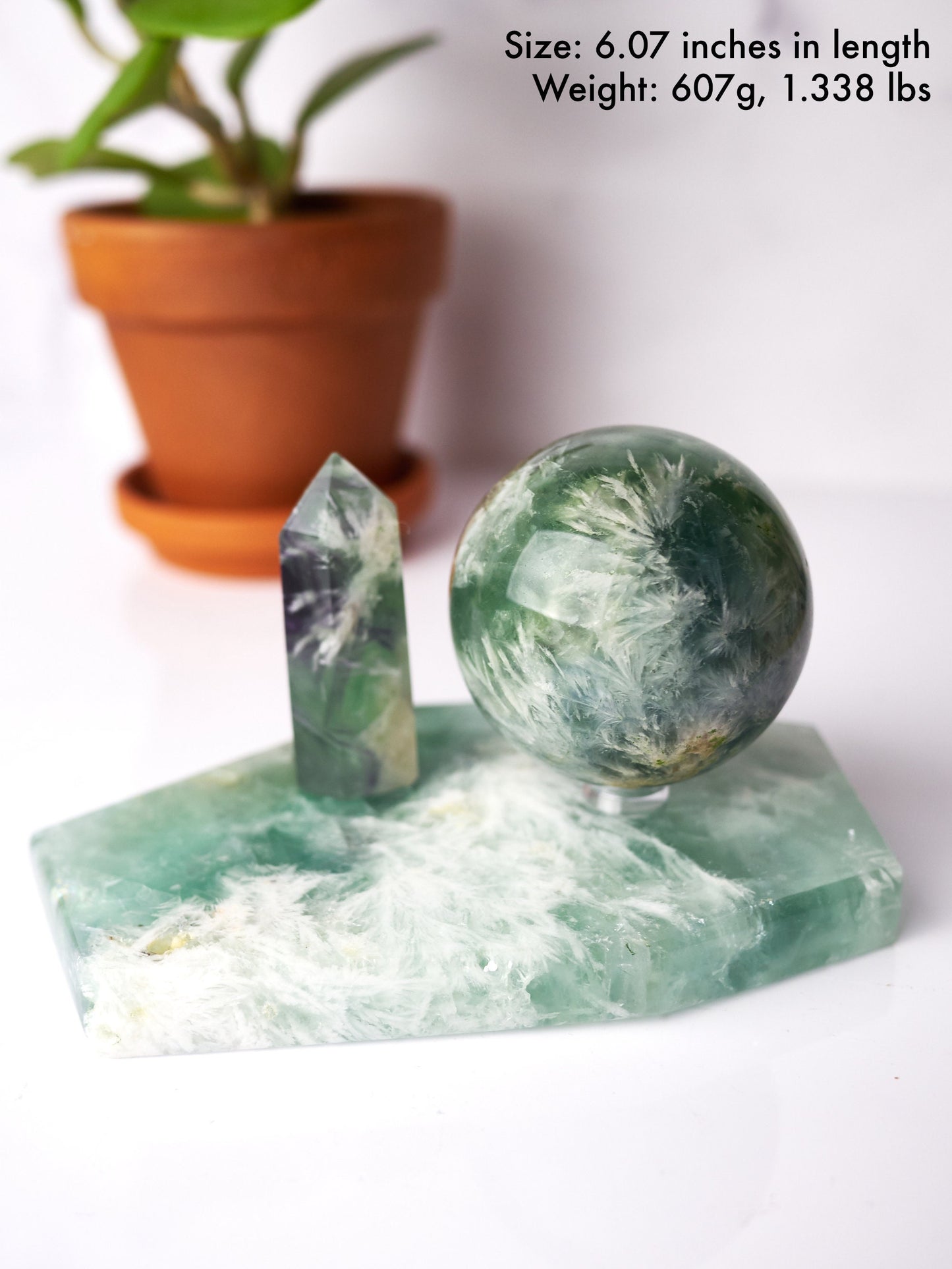 Light Green Snowflake Fluorite Polished Slab