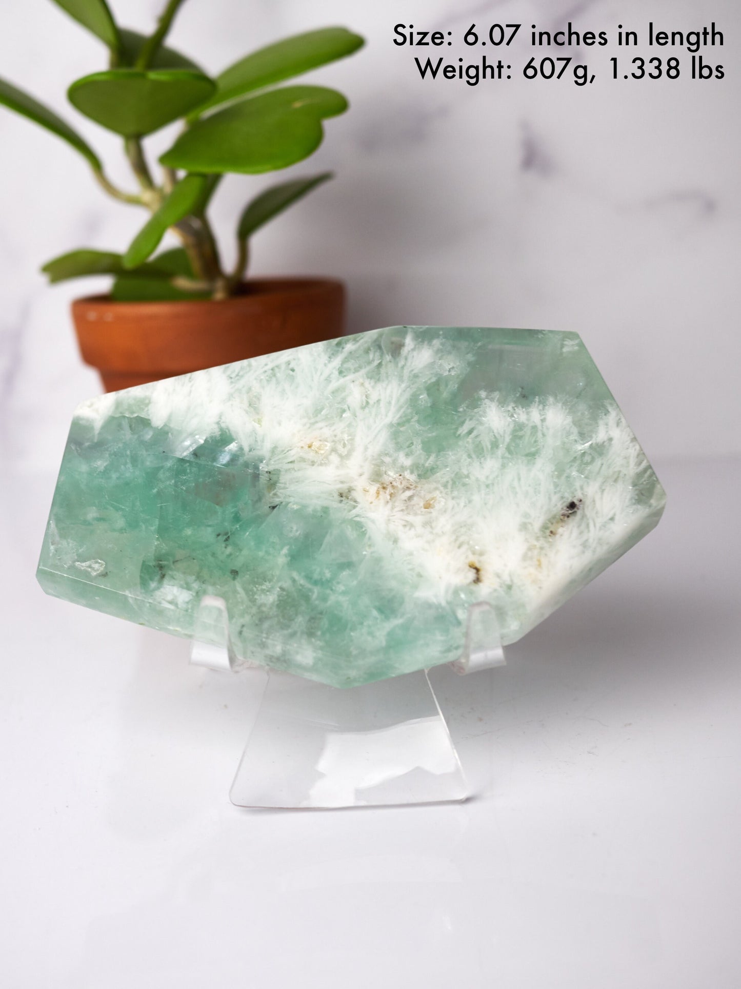 Light Green Snowflake Fluorite Polished Slab