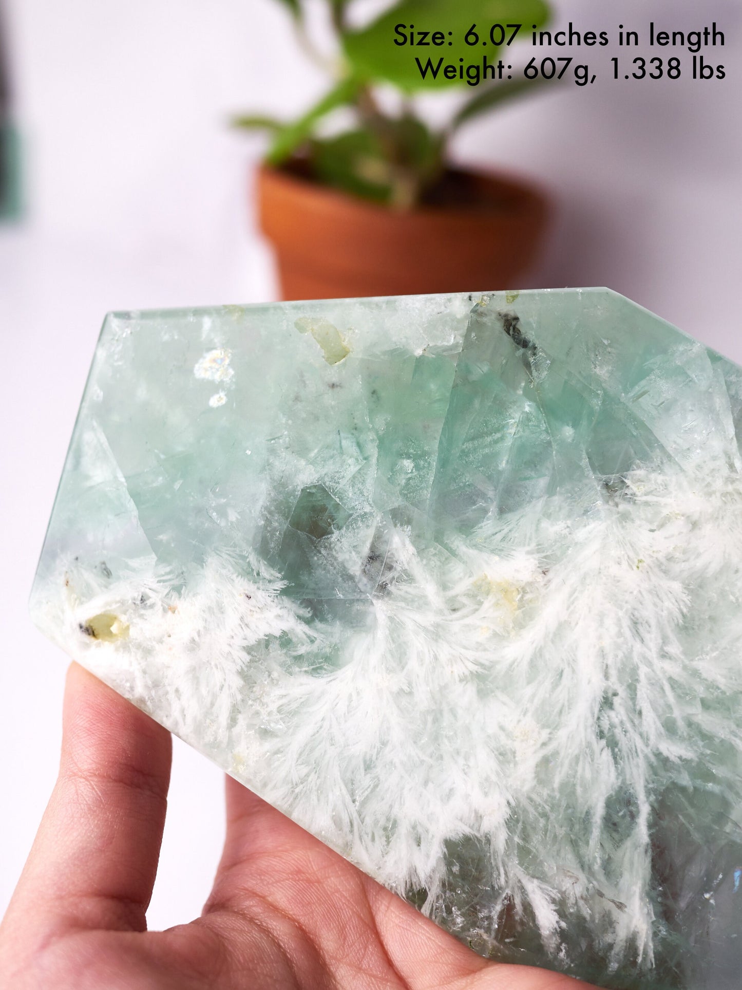 Light Green Snowflake Fluorite Polished Slab