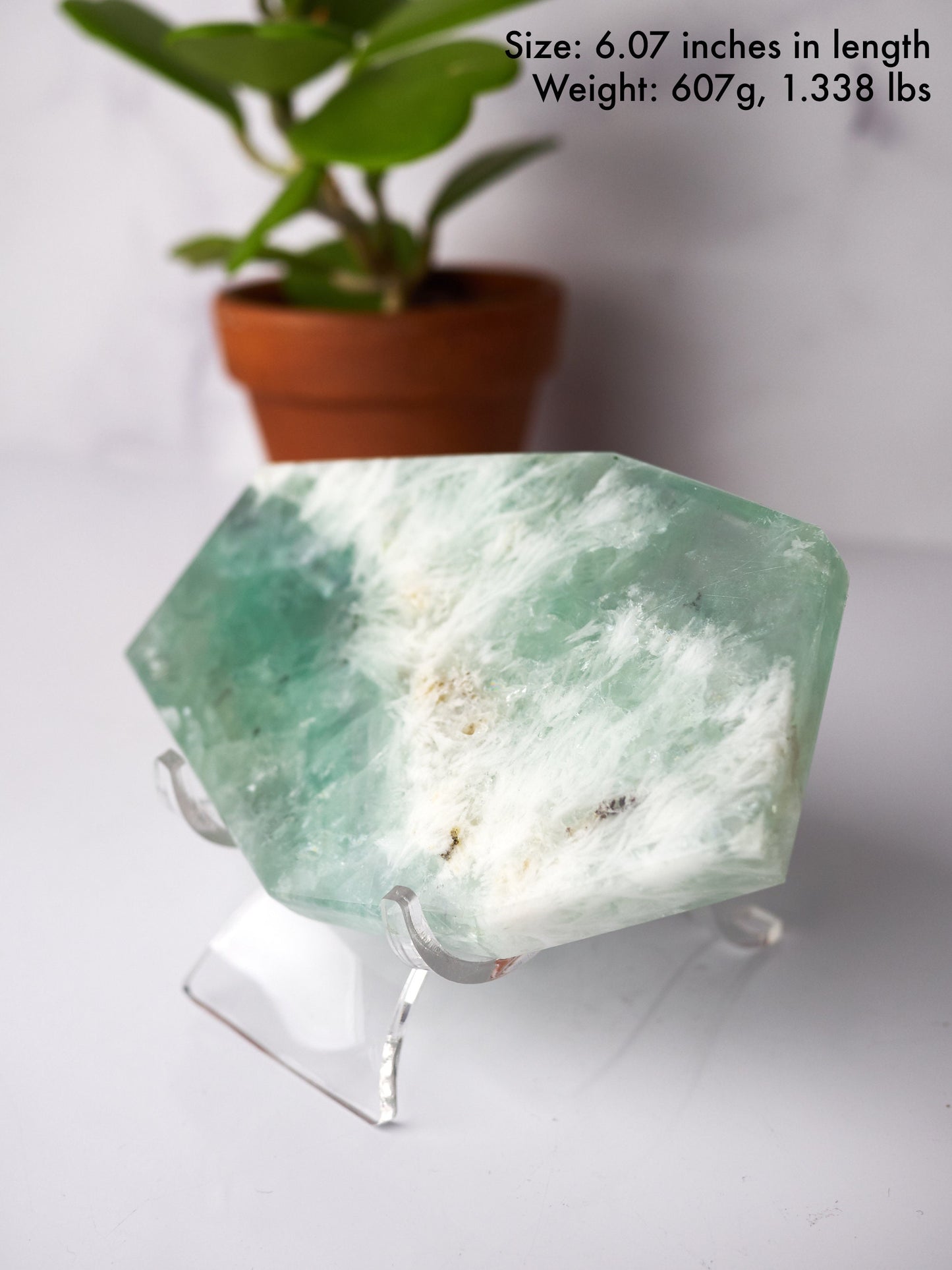 Light Green Snowflake Fluorite Polished Slab