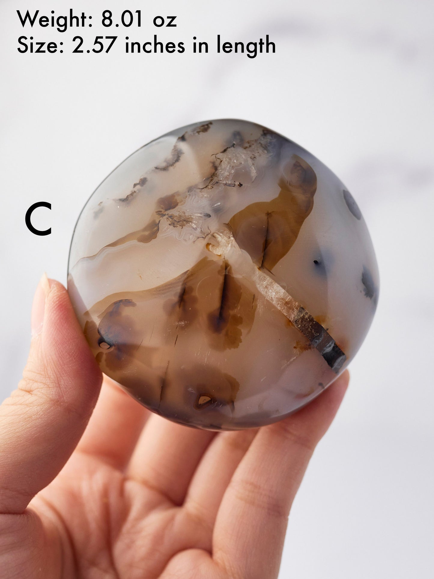 Dendritic Agate Palm Stone