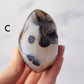 Dendritic Agate Palm Stone