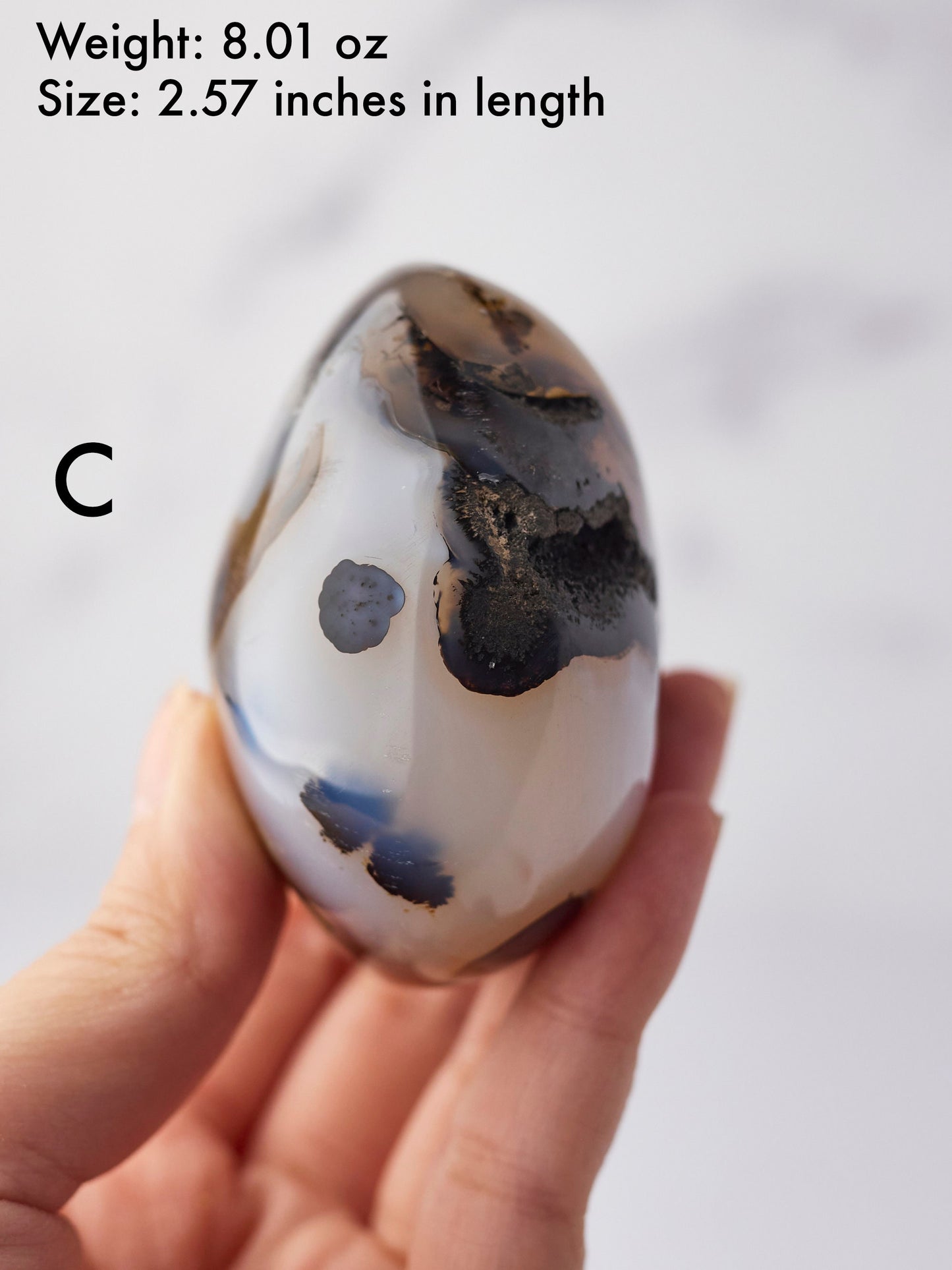 Dendritic Agate Palm Stone