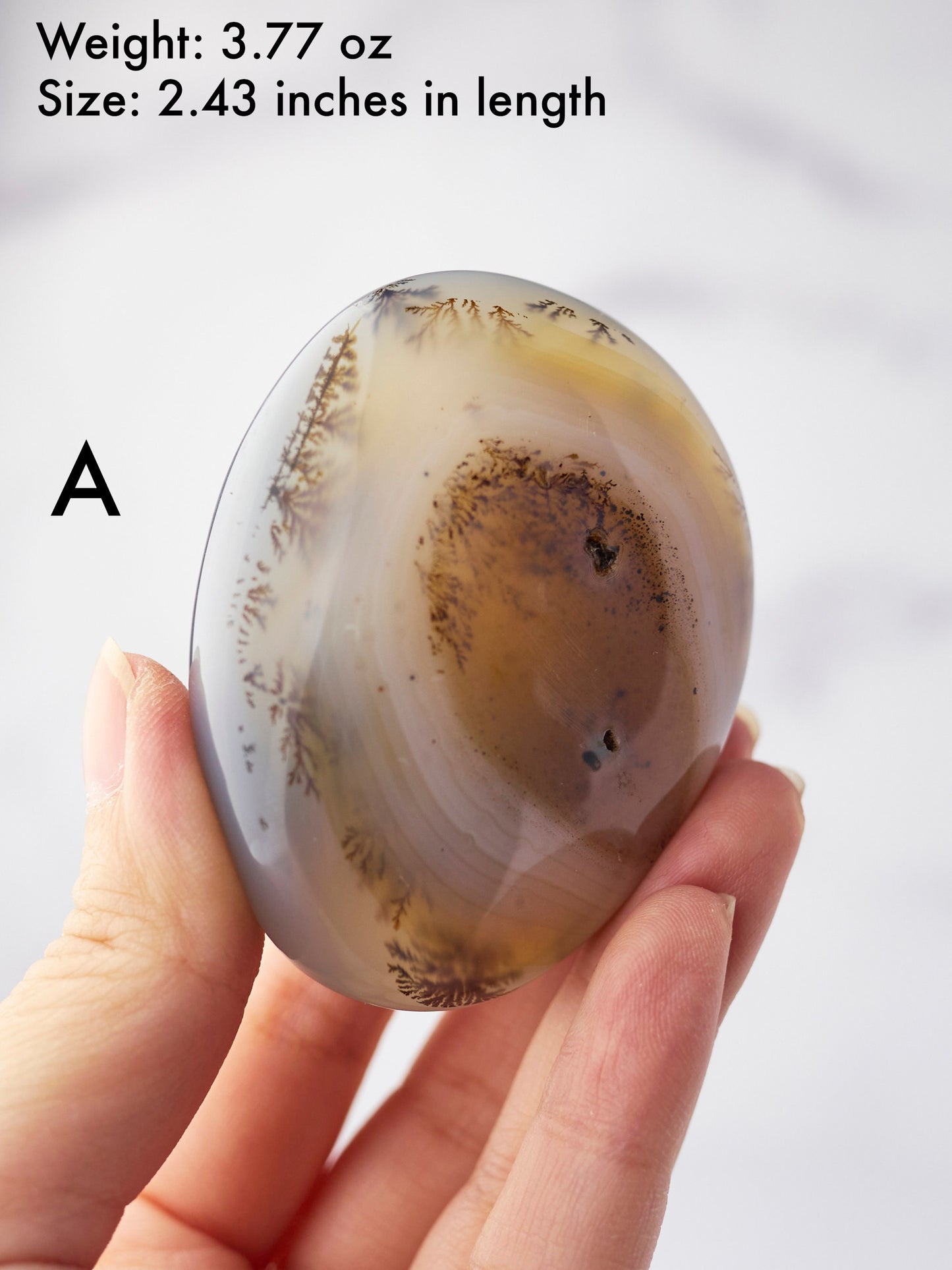 Dendritic Agate Palm Stone