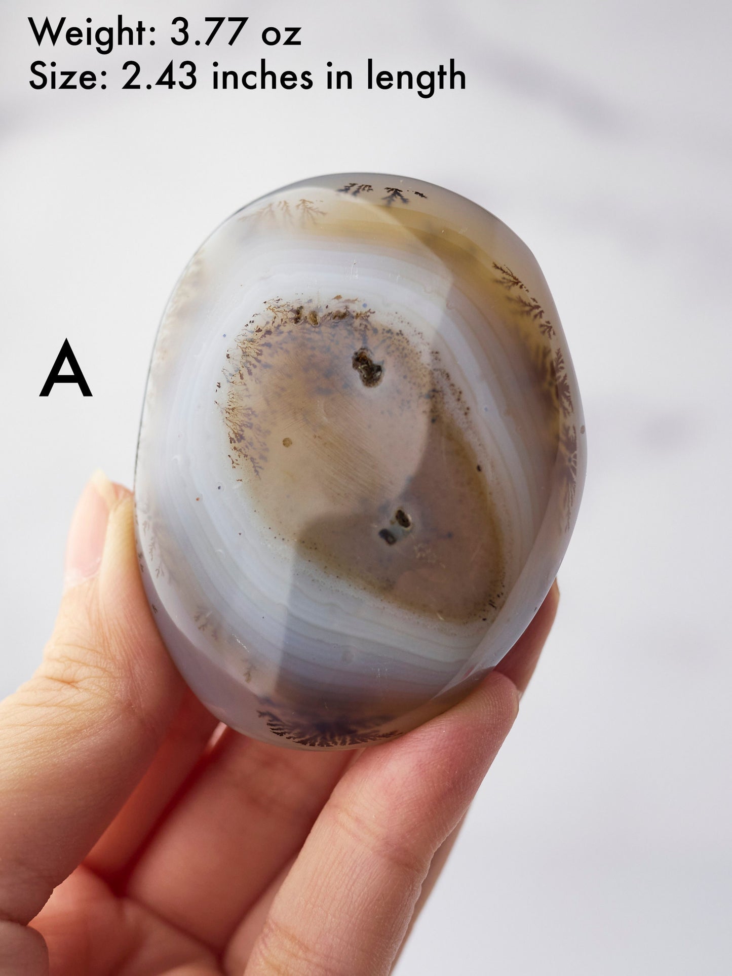 Dendritic Agate Palm Stone