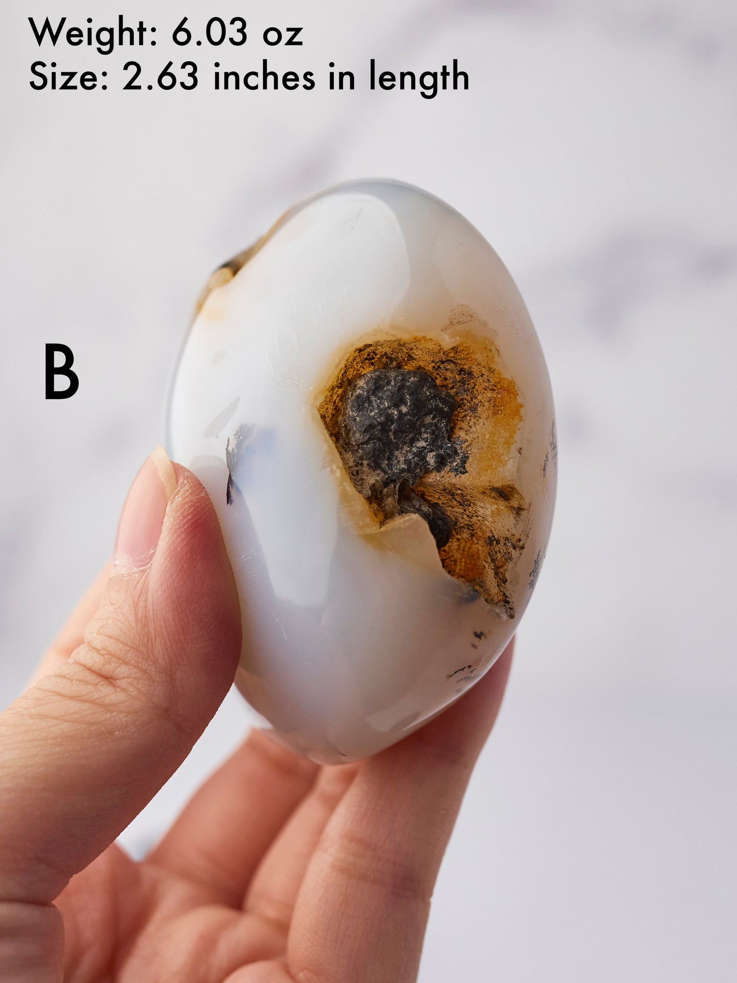 Dendritic Agate Palm Stone