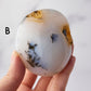 Dendritic Agate Palm Stone