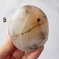 Dendritic Agate Palm Stone