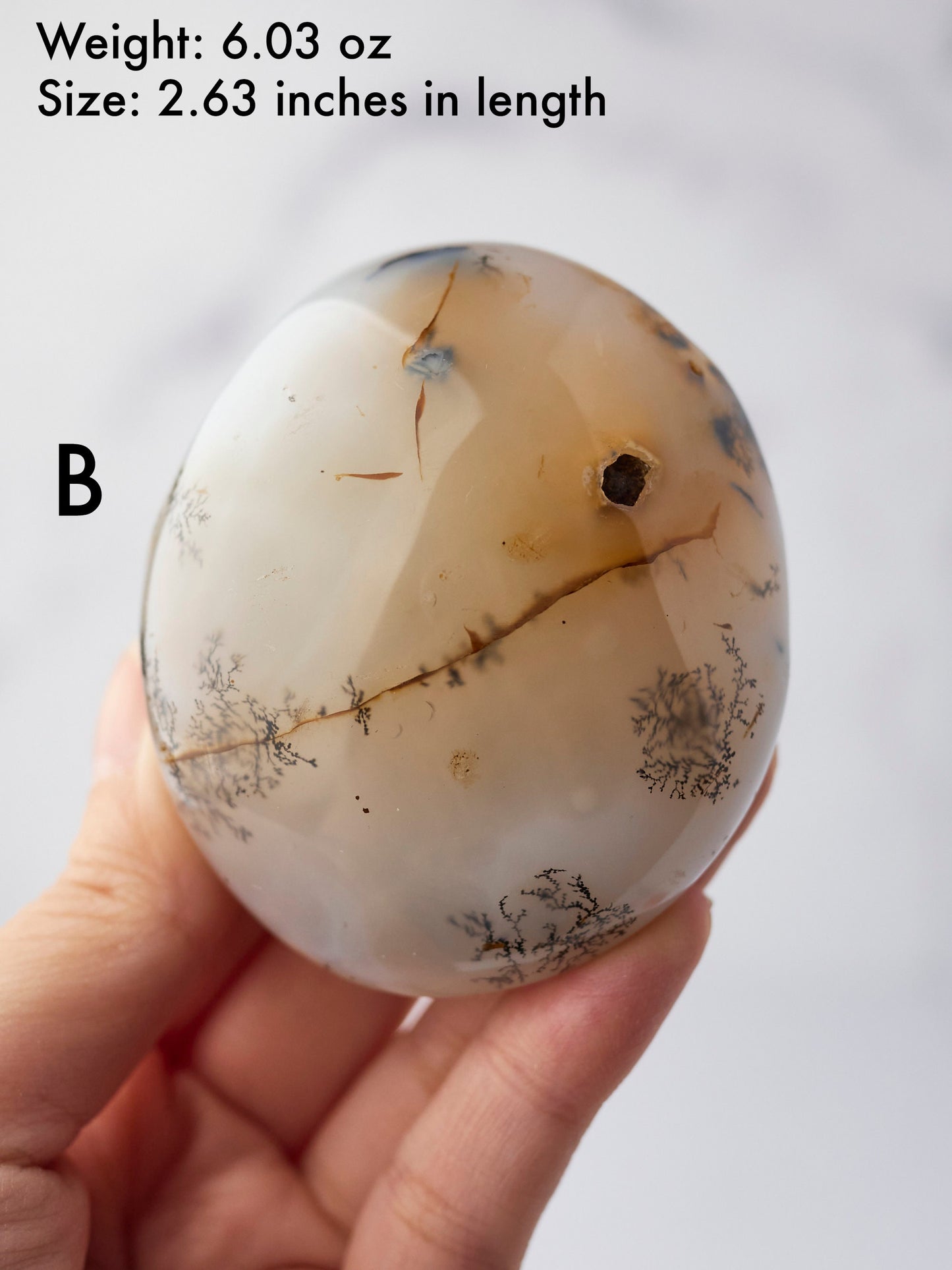 Dendritic Agate Palm Stone