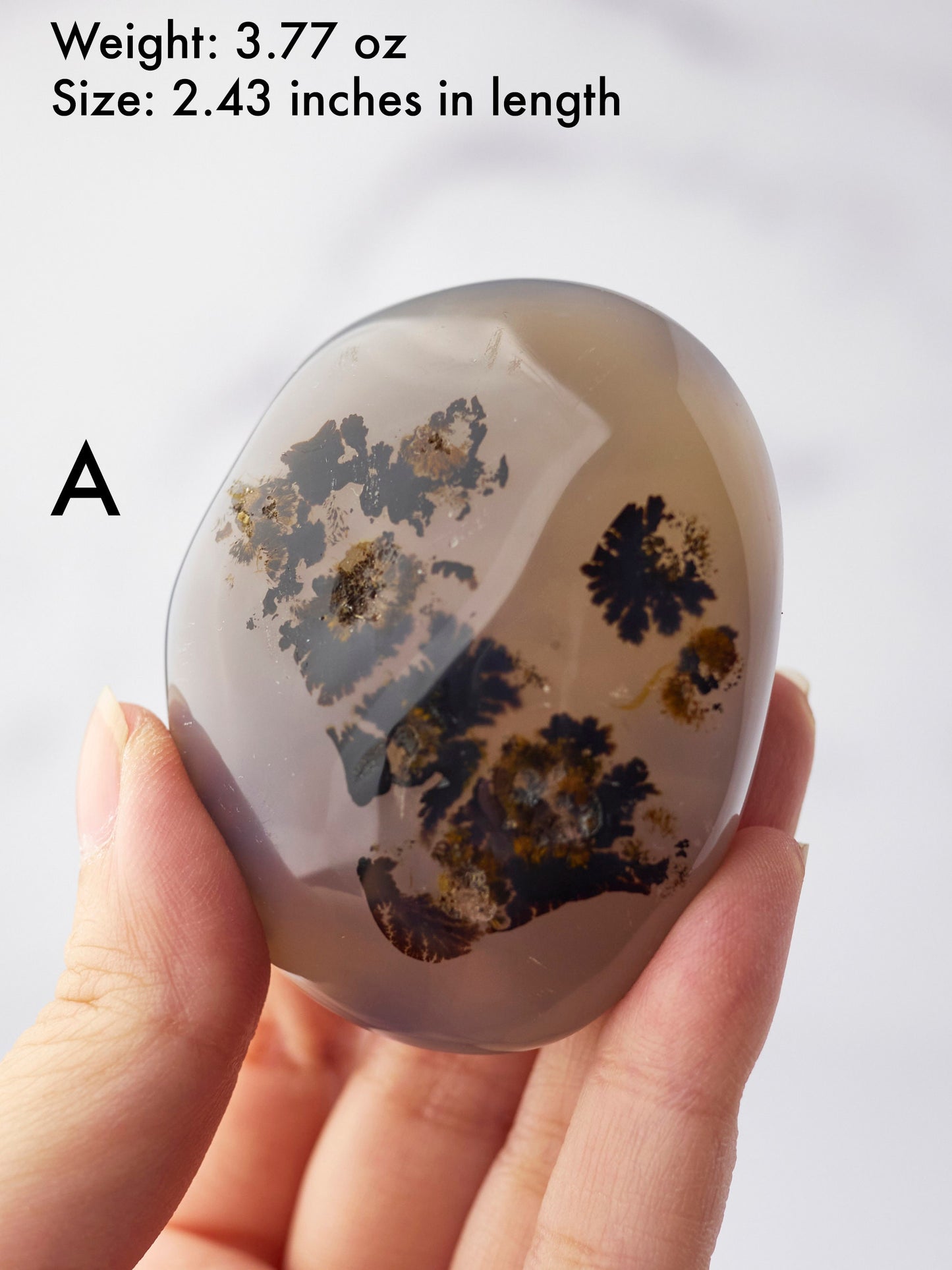 Dendritic Agate Palm Stone