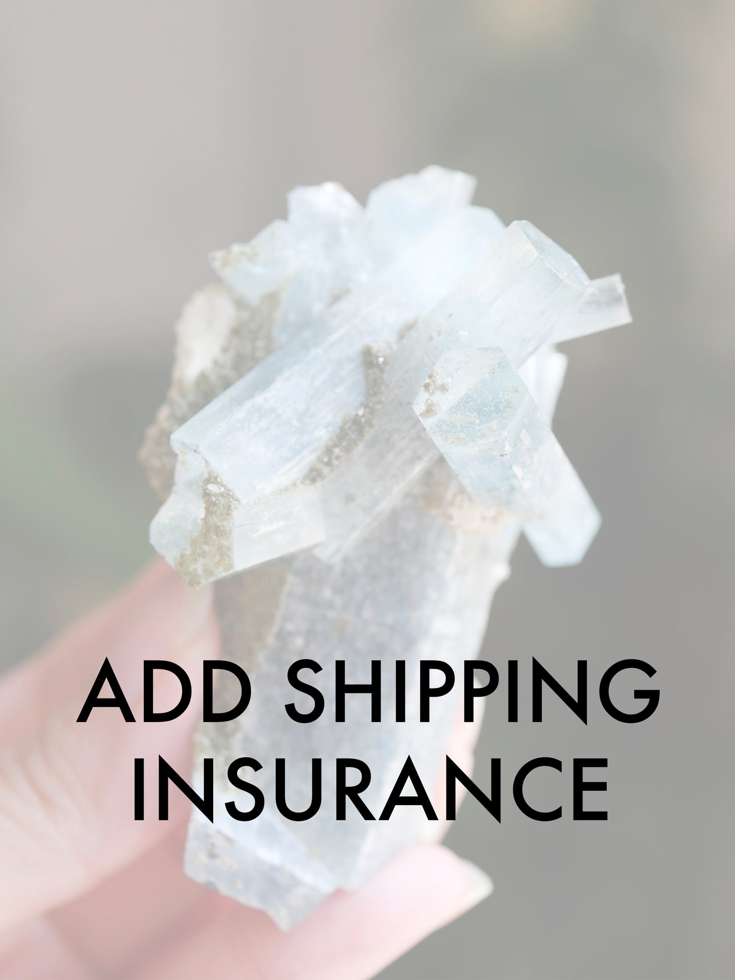 Add On Shipping Insurance